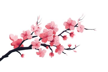 Blossom flower plant white background.