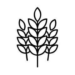 Wheat stalks vector illustration for agriculture farming and grain harvest design element, isolated line art style