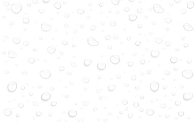 Realistic water drops. PNG drops, condensation on the window, transparent water drop. Abstract...
