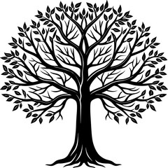 Obraz premium Tree silhouette with long vertical trunk