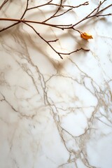 Empty marble table with space for plates or text 