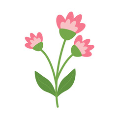 Beautiful Pink Flower Green Stems Simple Floral Design Minimalist Botanical Flat Design Vector Illustration