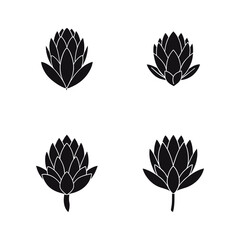 A Set Of Protea Silhouette Vector Illustration