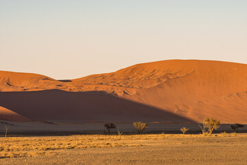 sunset in the desert, Africa