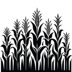 Cornfield vector silhouette, tall stalks, maize stylized illustration, minimalist, clipart