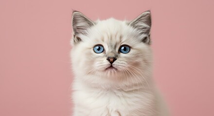Pastel Kitten: A Gentle Gaze AI Generated