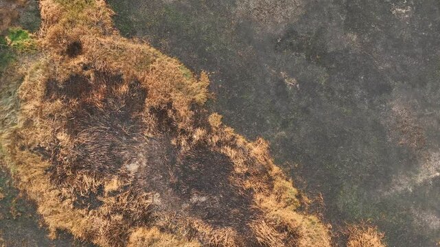 A drone captures the aftermath of agricultural burning, showcasing the drastic impact on land and contributing to air pollution and environmental degradation.
