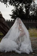 An Elegant Bride with a Unique Veil Gracing an Outdoor Setting on Her Special Day