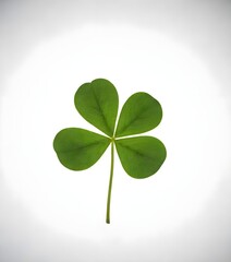 Four leaf clover