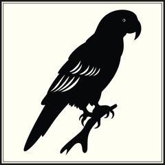 Fototapeta premium Parrot Silhouette, Tropical Bird