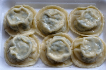 chinese dumplings on a plate