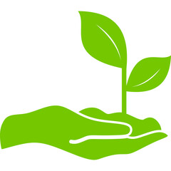 Reforestation Solid Icon