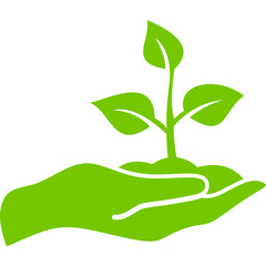 Reforestation Solid Icon