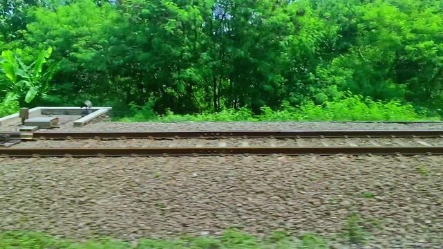 Green nature surrounds the parallel steel tracks of the railway line stretching into the horizon, suggesting a journey of transportation