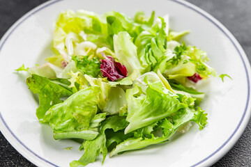 Salad mixed leaves iceberg, batavia, lettuce, radicchio, romano, frisee appetizer vegetables dish...