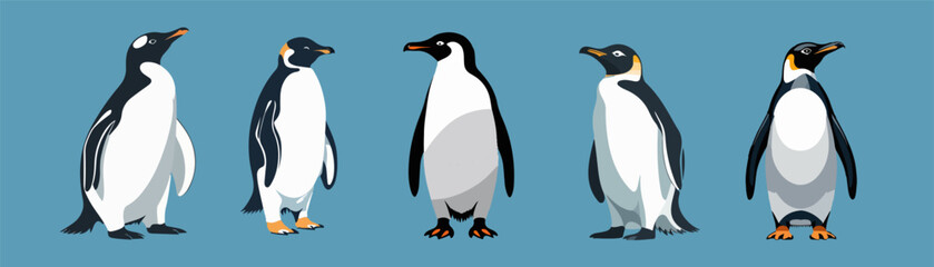 Obraz premium set vector of penguin 