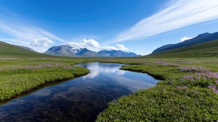 Serene alpine meadow reflecting mountain peaks. Crystal clear pond mirroring surrounding peaks. Vibrant wildflowers and lush vegetation.  A tranquil, breathtaking vista