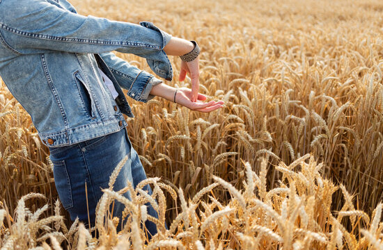 Femme habill&eacute;e en jeans dans champ de bl&eacute; dor&eacute;, mouvement des mains qui dansent et captent le soleil