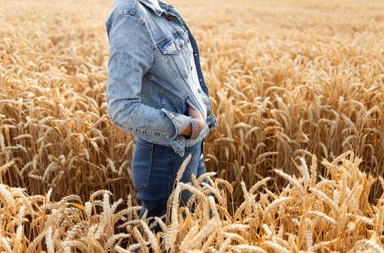 Femme habill&eacute;e en jeans mains dans les poches dans un champ de bl&eacute; dor&eacute;