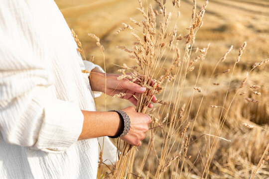 Femme en chemise blanche l&eacute;g&egrave;re dans un champ de bl&eacute; dor&eacute; avec un bouquet dans les mains