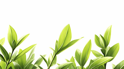 Fototapeta premium planting drawing illustration