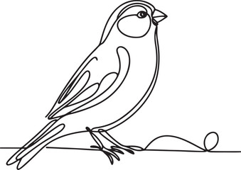 Canary Line Drawing Vector Art
