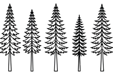 Obraz premium ponderosa line art minimal pine tree sketch for wall decor