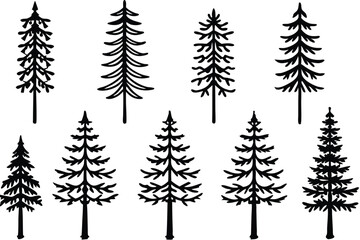Fototapeta premium ponderosa line art simple tree design great for digital graphics