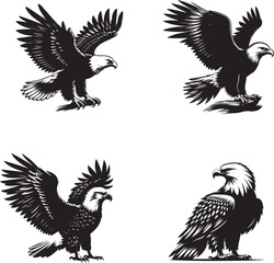 Majestic Bald Eagle Vector Illustration – Patriotic American Bird Design