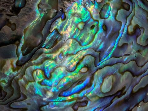 pearl texture from exotic shell