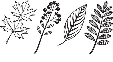 Vector set of black silhouettes of leaves and trees, a floral nature illustration with seamless patterns and decorative elements