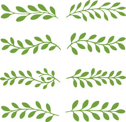 green branch with leaves