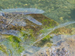 春の川　水の流れアップ15