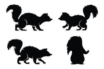 Set of squirrel in different perspectives. vector illustration.
