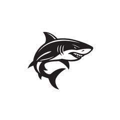 vector illustration of a shark