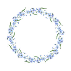 Light blue beautiful forget-me-not wreath. Delicate botanical watercolor wreath is perfect for greeting cards, wedding invitations, branding, packaging and spring design, eco-packaging, scrapbooking.