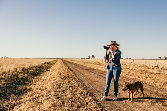 Female photographer looking through camera on farm with dog