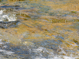 春の川　水の流れアップ25