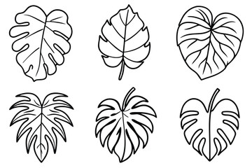 Obraz premium Monstera Leaf Line Art Elegant Design for Home Printing 