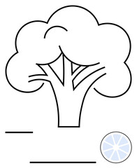 Simplified broccoli illustration with branching stalks, fluffy top, and nutritional circle. Ideal for health, sustainability, diet, food, cooking farm vegetable branding. Flat simple metaphor