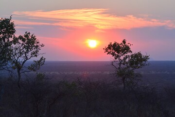 Sunset in africa Savanna