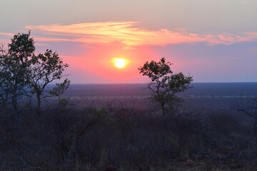 Sunset in africa Savanna