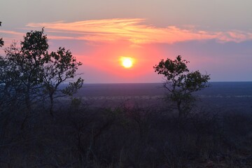 Sunset in africa Savanna