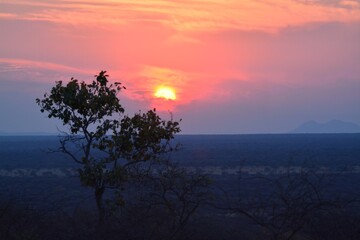 Sunset in africa Savanna