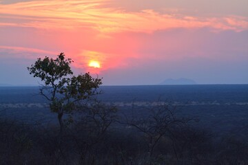Sunset in africa Savanna