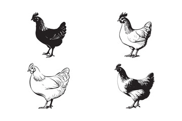 Hen Silhouette Vector Farm Chicken Clipart Illustration for Logo and Design