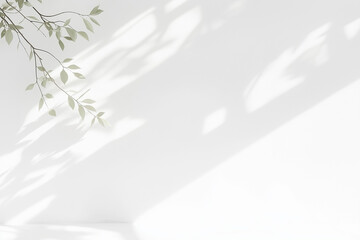 白い背景と葉っぱの背景	White background with leaves	
