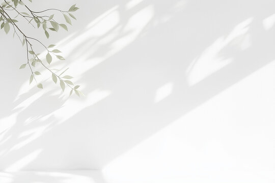 白い背景と葉っぱの背景	White background with leaves	