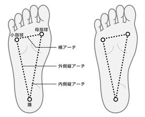足裏アーチの説明イラスト　モノトーン