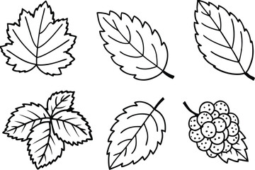 Fototapeta premium Mulberry Leaf Line Art Design for Botanical Themed Illustration 